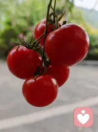 当你觉得事事不顺、状态低迷时，一定要主动换个地方——这不是玄学，而是最朴素的身心道理。
 
你大概都有过这样的体验：心情莫名烦躁，出门走走，或是沿着湖边慢跑一圈，心里就轻松许多；偶尔消沉倦怠、提不起精神，去图书馆静一静，或是去健身房出一身汗，斗志便慢慢回来；无聊空虚时，去商场逛逛，感受人间烟火，也会忽然觉得，生活依旧值得期待。
 
明明什么都没有改变，只是换了一处环境，整个人的状态，就截然不同。
 
朗达·拜恩曾说，每个人都受自身磁场与周围环境的影响。我们的心境起伏，很多时候并非事情本身有多糟，而是所处的环境，悄悄影响了你的能量与情绪。
 
所以，想要活得舒心，就要多往能量干净、气场正向的地方走。
 
多去户外，汲取自然的能量。
上世纪七八十年代，日本兴起“森林浴”：人在焦虑、压抑、内耗严重时，走进森林，远离喧嚣，放下手机，静静沐浴在阳光与草木之间。不用刻意做什么，身心会自然松弛，很多情绪，就在安静里慢慢自愈。
 
大自然，是最强大的能量场，也是最温柔的心理医生。一草一木，一阵清风，一缕阳光，都能悄悄抚平内心的褶皱。
 
尼采也曾跌入人生低谷：事业受阻，情感破碎，头痛缠身，视力衰退。他辞去工作，独自徒步旅行，在乡间、森林、湖畔、山路上行走。清新的空气让他清醒，林间的生机唤醒他的热情，日复一日，身体渐好，内心也归于平静。
 
正如美国作家米切尔所说：大自然，是最天然的情绪疗养所。
 
心理学上认为，人都有周期性情绪波动。
明明生活一切正常，却忽然觉得疲惫、无趣；明明聚会热闹，转眼又莫名低落。这些突如其来的情绪很正常，不必自责，也不必焦虑。
 
而最快平复心情、补足心理能量的方式，就是主动去高能量的地方“充电”。
像缺氧的人需要新鲜空气，疲惫的人需要歇脚，情绪低落的人，也需要一个更舒展、更干净、更有生机的环境，来重置状态。
 
磁场是流动的，能量是互通的，环境是会塑造人的。
当你觉得心里堵、状态差、事事不顺时，别硬扛，别困在原地胡思乱想。
走出去，换个地方，换一种气息。
你会发现：很多烦恼，走着走着就散了；很多心结，换个环境，就轻了。配图