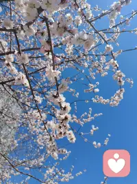 人生有三把钥匙：接受，改变，放开。配图