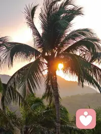 生活没有十全十美，
花开成景，花落为诗
入眼是风景，入心是人生。
所有最好，都不如刚刚好，
知足，感恩，微笑，简单。配图