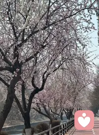 每日1️⃣条心理学｜蘑菇效应，熬过低谷期必发光✨

宝子们！有没有过这样的时刻😭

刚入新公司、新环境，像个透明人，没人在意你的努力，没人看到你的潜力，做着琐碎的小事，甚至偶尔被否定…

这就是心理学上的「蘑菇效应」🌱 核心是初期无人关注、默默扎根，是成长的必经过程。

就像蘑菇在阴暗角落悄悄生长，没人关注却在扎根，不用焦虑，默默沉淀能力，你的价值总会被看见💫

✅ 如何应对蘑菇效应

（1）保持耐心：不要因为暂时的忽视而气馁，成长需要时间和积累。

（2）积极积累：利用这段时间不断学习和提升自己，为未来的机会做好准备。

（3）保持自信：相信自己的能力，不要因为外界的忽视而怀疑自己。

（4）抓住机会：当机会来临时，要勇敢地展示自己，证明自己的价值。

你有过这样的“蘑菇期”吗？评论区说说～配图