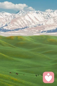 今天是4月4日，星期六，早安！
生活不会一直顺风顺水，但你可以选择向阳而行难过时给自己一个拥抱，迷茫时给自己一点方向，你永远有重新开始的力量，相信自己！加油~配图