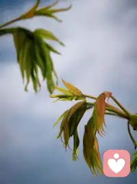 你之前受过所有的苦
就是来照亮你明天的路…配图