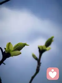 难熬的日子终究会过去，
扛得住黑暗，才看得见光亮。
人生没有白走的路，
每一步坚持，都在悄悄铺路。
雨会停，雾会散，
你终将安稳、被爱、闪闪发光。配图