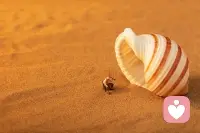 晨光温柔，万物可爱
新的一天依旧充满希望
慢慢努力，悄悄进步
生活自会给你惊喜
早安[太阳]配图