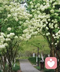 人生本就没有那么多顺心如意，
十有八九都是困难与挫折。

可越是在压抑、疲惫、左右为难的日子里，
越要记得抱抱那个一直硬扛的自己。

不必逼自己立刻强大，
不必事事都要圆满解决。
先看见自己，再温暖他人；
先稳住内心，再照亮家人。

愿我们都能在一地鸡毛里，
依然相信自己，相信世界是美好的✨配图