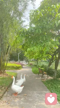 来时一丝不挂，
去时高温融化。
人生苦短，
来日并不方长。
健康快乐才最值钱。
​想那么多干啥？！配图