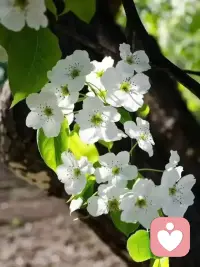 [爱心]当你越学习成长时，就会开始理解周围的每一个人。没有好坏，没有对错，只是他们处在一个不同的频率中，显化出不同的状态，做了不同的选择，有了不同的语言和行为。允许一切的发生，这才是真的强大，允许别人做别人，自己做自己…配图