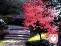 我发现有些人就是单纯在活着
不谈恋爱不乱搞
也没失恋就只是待着
吃好吃的买好看的衣服 给手机充电配图