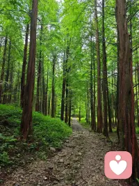 会影响你生活的14个心理效应，分享给各位：

1、野马效应

吸血蝙蝠吸取野马的血为食，但所吸的血量极少，远不足以使野马死去，野马的死因是暴怒和狂奔。

因芝麻小事而大动肝火，以致因别人的过失而伤害自己。很多时候，我们要想明白到底为了什么而生气和焦虑，不要因别人的过失而伤害自己。

2、聚光灯效应

有时我们总不经意地把自己的问题放到无限大，当我们出丑时总以为人家会注意到，其实人家或许当时会注意到，但事后马上就忘了。

没有人会像你自己那样关注自己，‌‌“聚光灯效应‌‌”只存在于你的头脑中，而非真实情况的反映。试一试转移自己的注意力会更好。

3、毛毛虫效应

将毛毛虫们首尾相接，围一圈放在花盆边缘，花盆不远的地方撒一些松叶，毛毛虫夜以继日地绕着花盆转圈，最终因饥饿和精疲力尽相继死去。

当我们的工作遭遇挫折或陷入停顿时，应努力寻求突破。不能只关注做了多少工作，还要关注做出多少成果，也就是‌‌“效益‌‌”。

4、马太效应

指强者愈强、弱者愈弱的现象。《新约.马太福音》：‌‌“凡有的还要加给他叫他多余；没有的连他所有的也要夺过来。‌‌”

要保持在某个领域有不可替代的优势，就能够将大部分有利的资源聚拢在你的身边。

5、飞轮效应

为使静止的飞轮转动起来，一开始你必须使很大的力气，飞轮转得越来越快，达到某一临近点后，你无需再费更大的力气，飞轮依旧会快速转动，而且不停地转动。

有时候你可能觉得做一件事很困难，但再坚持一下，过了临界点，就会变得轻松。

6、酸萄萄效应

寓言中狐狸得不到葡萄就说它酸，以平衡自己的心理。人们拿自己能够接受的‌‌“理由‌‌”来自我安慰，以避免心理上受到更重的伤害。

心理防卫功能的确能够帮助我们，更好地适应生活；然而，沉溺其间却对生活有明显的副作用。

7、凡勃伦效应

美国经济学家凡勃伦注意到商品价格定得越高，越能受到消费者的青睐。商品价格越高消费者反而越愿意购买的消费倾向。

人也是一样的，要想得到‌‌“好价钱‌‌”，就要把自己琢磨成器，放在对的地方待价而沽，职场如人生，都是如此。

8、糖果效应

心理学家测试一群4岁的孩子能否坚持在20 分钟后吃糖，经12 年追踪，不同表现的孩子长大后个性表现不同。试验通过孩子小时候表现出的自控、判断、自信，来预测其长大后的个性。

要善于抵制诱惑，不被眼前利益所迷惑；别指望自控力会随着年岁的增配图