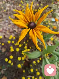 自己的生活无需复杂，简单就好。
自己的人生无需繁华，开心就好。
生活既要尽心，也要随心。时间留给值得的事和对的人[强]
心里装着山海，就别在意脚下的泥。配图