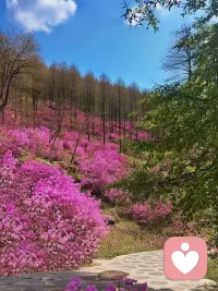 知足”，是一种恬淡平和的境界；“常乐”，是一种乐观豁达的人生态度。人活一世，不要拿着别人的地图，寻找自己的路。每个人，都是一道独特的风景。你站在桥上看风景时，有人在楼上在看你。

​配图