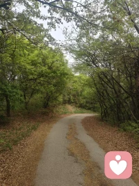 人不是向外奔走才是旅行，静静坐着思维也是旅行，凡是探索、追寻、触及那些不可知的情境，不论是风土的，或是心灵的，都是一种旅行。配图