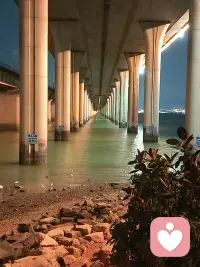 🎈ʜᴀ͟ᴘ͟ᴘ͟ʏ̆̈  ⃕[礼物]💠

“放下过往的烦恼，珍惜当下的美好，
  [愉快]会有新人来暖你，路会很顺很宽，
🍰生活只会越来越好~” ​​​​🌹早安[太阳][太阳]配图