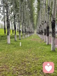💗周一的晨光从不迟到，就像生活从不辜负认真的人。这一生最重要的事，是把自己照顾好，身体无病，心里无事，眼里无怨，其余的，都是锦上添花。早上好[玫瑰]配图