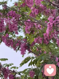 💖爱就是双向奔赴～520快乐[玫瑰]配图