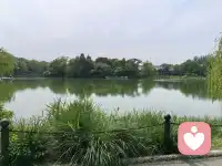 新的一天开始啦
愿你如晨光般明朗
像微风般轻盈
所有努力都有回响
所有期待都开花
早安[太阳]配图