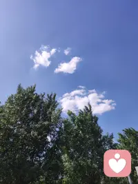 如果成功有捷径，那就是终身学习！

我不断地看到有些人在生活中越过越好，他们不是最聪明的，甚至不是最勤奋的，但他们是学习机器，他们每天夜里睡觉时都比那天早晨聪明一点点。

——查理·芒格  ​配图
