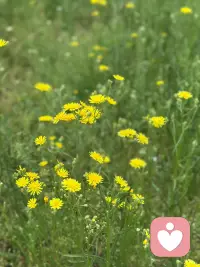 以平常心看世界，以进取心渡生活
熬过无人问津的日子，才能拥抱诗和远方，保持热爱，奔赴山海，忠于自己，不负时光。