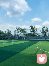 萨提亚：行为只是表象，内在才是根源[玫瑰]配图