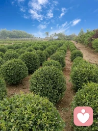 进步不止是一路高歌
也可能是跌跌撞撞后，依旧前行
接纳起伏，这是成长的常态配图