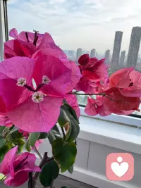人的一生精力有限，不必一直紧绷前行。疲惫了就停下脚步休整，适当放松、放缓节奏，用心善待自身，从容享受慢下来的日常。配图