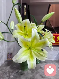 知人不评人，自知不妄为
认识自己，战胜自己
人生之路才能越走越宽配图