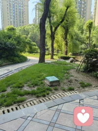 [爱心]真诚的高级感，在于它摒弃了所有伪装，坦然而有温度。配图