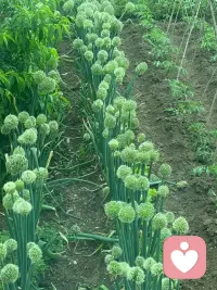 外界的热闹终会散去
内心的丰盈永不枯竭

学会和自己相处，调养身心，沉淀自己

在日复一日的滋养中，活成自己喜欢的模样[爱心]
#内养#认真爱自己