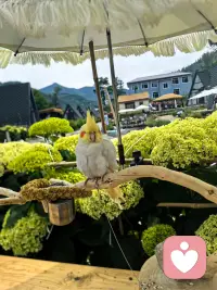 总有些事，管你愿不愿意，它都要发生，你只能接受；总有些东西，管你躲不躲避，它都要来临，你只能面对。早安，加油！配图