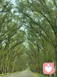 人生中最可贵的两个词:
自律和坚持，
自律的人改变自己，
坚持的人改变命运，
追寻梦想的路上，既要仰望星空，也要脚踏实地，才配得上重生之美！配图