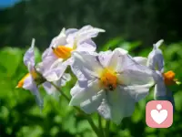 【活着就是幸福】
心理咨询师这个职业会见识人间百态，各种疾苦后，再加上自己增加了一些人生阅历之后，如果你问幸福是什么，我的回答会很简单：活着就是幸福。
当你参透了这句话，就会明白生活中的所有都是额外的馈赠。配图