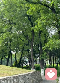 时间会馈赠所有美好，也会带走所有执念。慢慢来，万事皆有花期🌷
