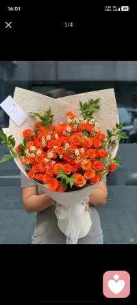 不学习的人~
终其一生都在重复自己的偏见！