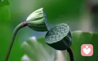 [抱拳]做人最大的底气，是人品端正，内心纯粹，行事坦荡。无论身处何种环境，经历怎样的风雨，都不要丢掉骨子里的善良与教养，不要违背自己的本心与原则。不算计人心，不投机取巧，不虚伪待人，踏踏实实做事，简简单单做人。懂得感恩，懂得珍惜，懂得包容，用良好的品行立足世间，用温柔的心态拥抱生活，心有分寸，行有尺度，方能行稳致远，一生安然无恙。