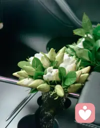 这世界没有任何一句话，
可以让你醍醐灌顶。
真正叫你灌顶的，
只能是一段经历。