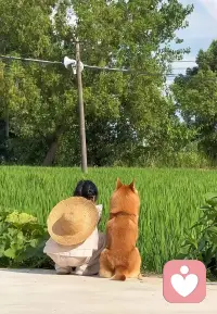 婚姻里有一个挺残酷的现象，你越看不上自己的伴侣，越要小心

你可能已经把婚姻里最重要的控制权交出去了

我接触过不少条件很好的女性，事业做得漂亮，收入、资产、孩子教育都安排得明明白白，但一聊到老公，评价几乎全是负面的

没担当，没格局，情商低，拎不清，原生家庭还有一堆问题

这些判断可能都对

但我通常不会陪着她继续分析这个男人，因为分析到最后很容易变成一件毫无意义的事，你越来越确定他有问题，却还是不知道下一步怎么办

这才是很多高净值家庭真正昂贵的损耗

因为你不是二十几岁谈恋爱，发现不合适换个人就结束了

走到今天，婚姻背后可能连着孩子、房产、公司、双方父母、社会关系，甚至未来十年的生活安排。你真正需要的，从来不是证明我嫁错了，而是判断这盘棋现在到底还能不能下？如果能，怎么重新拿回主动权？

所以我处理婚姻问题，很少停留在谁对谁错

我更关心的是，你当初为什么会选择这个人？这些年你们为什么会形成今天的权力结构？

哪些地方是他的问题，哪些地方是你的退让、纵容、失误和能力盲区？更重要的是，现阶段还有哪些筹码可以重新配置

该修复的关系怎么修复，该建立的边界怎么建立，该谈的利益怎么谈，该让对方承担的代价怎么落地

包括真到了无法修复的程度，也不是情绪上喊一句离婚算了，而是把孩子、资产、利益和自己的后半程一起考虑进去

成年人解决婚姻问题，最没价值的事情就是反复证明对方有病

你真正需要的是一个结果

我做咨询也不是为了陪你把婚姻分析得越来越明白，而是把这些混乱的信息重新拆开，找到真正能够撬动局面的那个点

毕竟你已经为这段关系付出了这么多年

接下来花出去的时间、情绪和机会成本，至少应该开始产生回报。