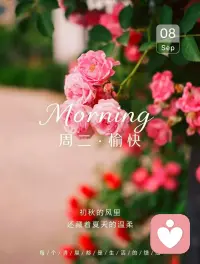 “幸福从不在远方，是眼前的风景、碗里的温热、身边的陪伴。那些看似平淡的日常，恰恰是，人生最珍贵的收藏。”