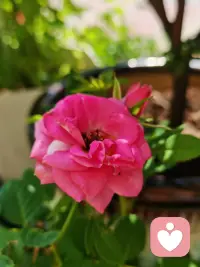 无论你正经历着什么，过得是否开心，世界不会因为你的疲惫，而停下它的脚步。那些你不能释怀的人与事，总有一天会在你念念不忘之时早已遗忘。

无论黑夜多么漫长不堪，黎明始终会如期而至。#生活手记#