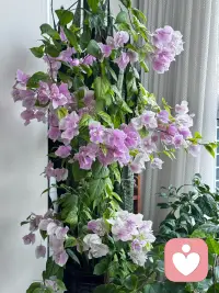 人生最好的状态，就是一直在路上。不用焦虑进度，每一次出发，都在和更好的自己相遇，踏踏实实，自有光芒。