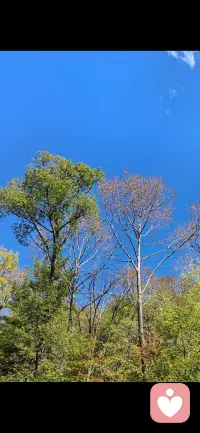 秋日晨光，步履从容。
风渐微凉，勿忘添裳。
愿我们，在渐浓秋意里，内心自有暖阳，万事安然。早安。