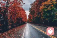 你在关系中有过这样的时刻吗：
觉得自己付出很多，但对方却意识不到，甚至对你的付出冷嘲热讽。
这种时候，你可能要警惕自己是否陷入了“公式型关系”配图