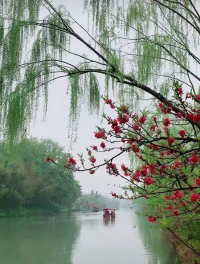 困住自己的，其實不是環境，而是自己的心。當心能轉念，沒有什么，能限制要達成的事情。配圖