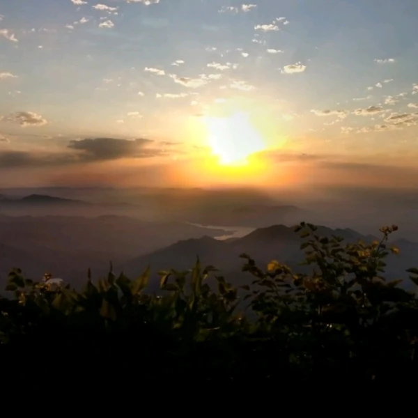 愛因分享而滋長