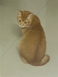 望穿秋水，期盼你回眸一笑
前世的多少次擦肩而過
才換來今生的一次回眸配圖