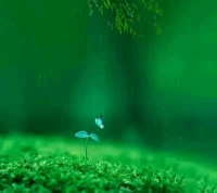 我们生活的这个宇宙是一个整体的大磁场，人与人之间，人与天地之间，从不停息地在进行着能量交流——每个人只要发出善念，这个大磁场就会回馈您以善报；任何人只要放下自己私利，全心为大家做事，大家就会自动拥护您、成就您，人才会因为您的品格魅力而自然归附，资源也会因为您的问道之心而自动流经。