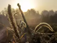 养好自己的大气，今后必有福气！有高度而从不让别人感觉到自己的高度，更能赢得别人的刮目相看和敬重。只要一直善良下去、知足下去、感恩下去，总会离幸福更近。