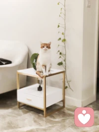 發生什么what本身，并不折磨人。而是你怎么對待它怎么解讀它，最重要。·?哪怕疾病，我把疾病當做另類的朋友，來給我愛的訊息——是時候需要好好疼愛自己了。·?哪怕貧窮，我曾把貧窮當做谷底的歷練，于是向下多深，向上多高。但上下也不執著，純然體驗歷練心靈的浩瀚。·?哪怕孤獨，哪一個偉大的心靈不經歷一場單獨前行的英雄之旅？[愛心]·獨處時，做寧靜綻放的一朵蓮！人群中，做群星中的一顆星！都是一種體驗一種美！配圖