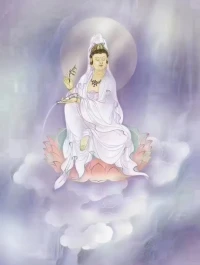 我們的心理咨詢功能從根源上分兩大板塊:
一、心的激活——情感感受關(guān)系上的療愈
?二、頭腦層面——認(rèn)知系統(tǒng)的疏通與整合
?前者在提升人的生命活力和內(nèi)在喜悅。
?后者在矯正認(rèn)知智能系統(tǒng)的紊亂和迷惑。
?這是當(dāng)下人們往往容易混淆的，但卻非常重要。
這兩者必須同時(shí)進(jìn)行，就如同我們的雙腿，缺一不可。沒(méi)有生命的活力和喜悅，認(rèn)知邏輯思維再多，如同機(jī)器人。沒(méi)有智能智慧認(rèn)知的指引和互動(dòng)，如同一群失控的蚊蟲蒼蠅。配圖