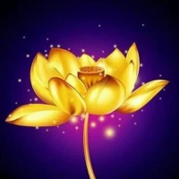 人有愛，戀愛婚姻甚至父母子女等關(guān)系才有可能有愛。
人決定關(guān)系，不是關(guān)系決定人。——人們不得不清楚的一些真相配圖