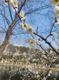 心理咨詢，能夠幫到那些相信自己值得過得幸福的人。配圖
